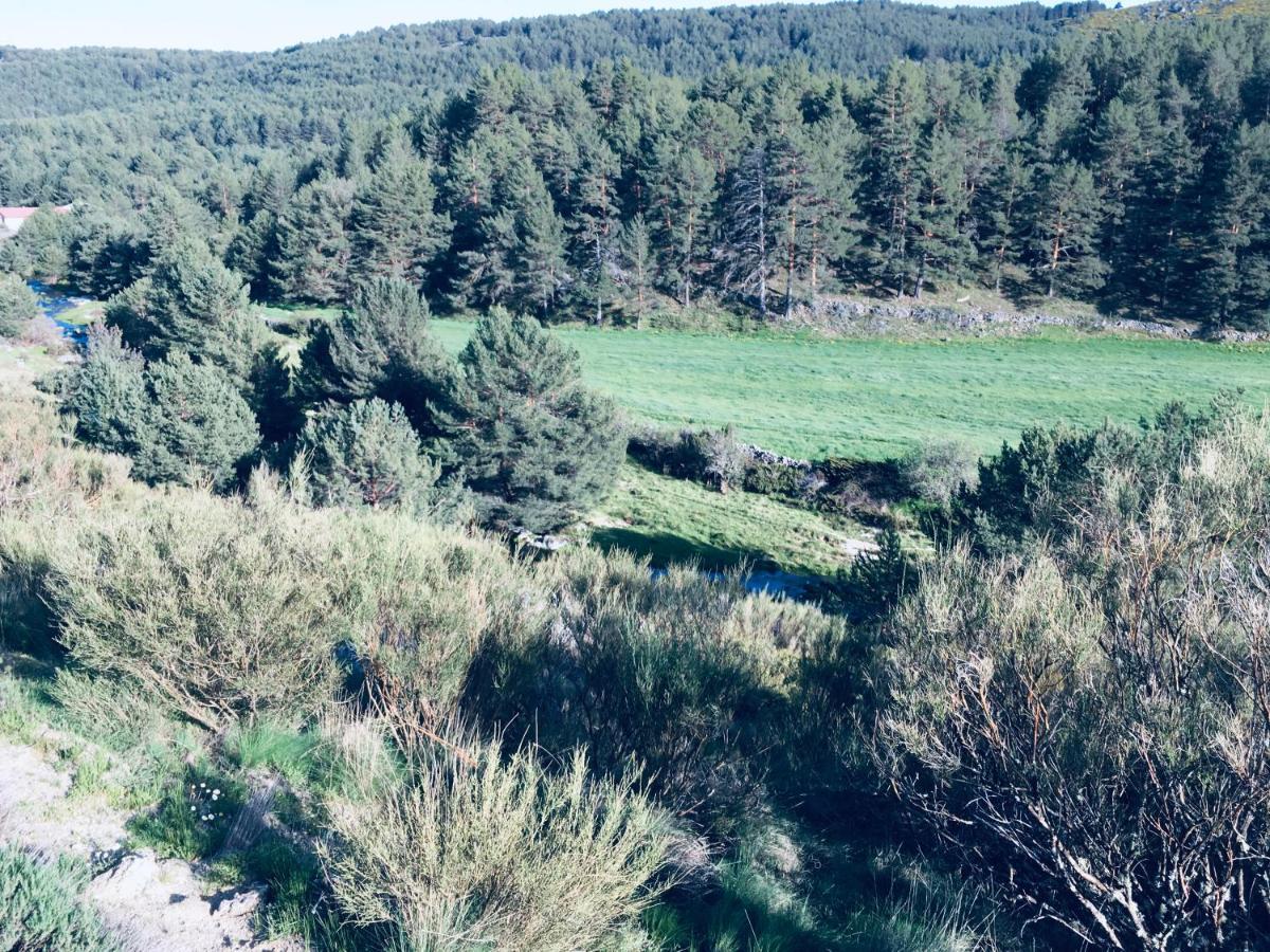 Pensjonat Artesano I Y III Navarredonda de Gredos Zewnętrze zdjęcie